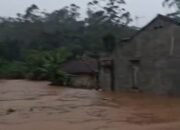 Hujan Deras Genangi Belasan Hektare Sawah dan Puluhan Rumah di Desa Rawabogo Ciwidey