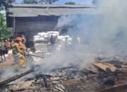 Gudang Pakan Ayam di Malangbong Garut Terbakar, Kerugian Capai Rp35 Juta – Pekerja Panik Lakukan Pemadaman Mandiri