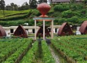 Libur Nataru ke Bandung Selatan? Pemandian Air Panas Walini Ciwidey Jadi Destinasi Favorit: Sehat, Aman, dan Ramah Keluarga!