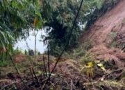 Hujan Deras Picu Longsor di Banjarwangi Garut, Jalur Sempat Tertutup Material