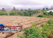 Kasus Alih Fungsi Lahan Teh Malabar Terus Meluas, Diduga Libatkan Oknum Desa dan Donatur Besar Masih Bebas