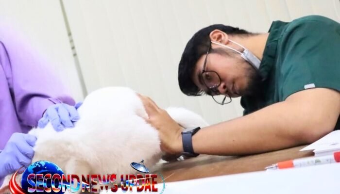 Program SiTerang Cimahi Rampung, 1.500 Dosis Vaksin Rabies dan Flu Burung Disalurkan ke Warga