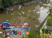 Sampah Menumpuk di Sungai Cimulu Tasikmalaya, Warga Prihatin dan Desak Pemerintah Bertindak Tegas