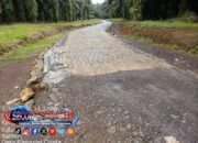 Proyek Jalan Lingkungan di Cisata Pandeglang Disorot, Paving Block dan Kanstin Diduga Tak Sesuai Spesifikasi
