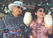 Istri Presiden Ke 2 Soeharto, Tien Soeharto Lahirkan Taman Buah Mekarsari, Warisan Agrowisata Nasional