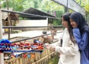 Taman Satwa Cikembulan Gandeng Super Indo, Penuhi Pakan Satwa dan Tekan Limbah Pangan