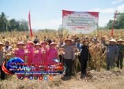 Kapolres Tasikmalaya Pimpin Panen Raya Jagung Serentak Kuartal I, 2026 di Mangunreja