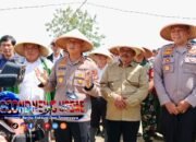 Kapolres Cimahi Panen Raya Jagung Kuartal I 2026 di Cipongkor
