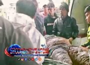 Tangis Duka di Babakan Pasir Langu: Longsor Terjang Cisarua, Puluhan Warga Masih Dicari