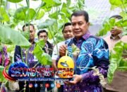 Panen Perdana Melon Hidroponik di Curug, Bupati Tangerang Moch Maesyal Rasyid, Dorong Desa Garap Lahan Tidur Bernilai Jutaan Rupiah