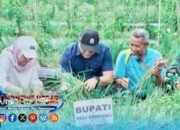 Inflasi Deli Serdang Turun ke 3,80 Persen, Terendah di Kelas Menengah Sumut