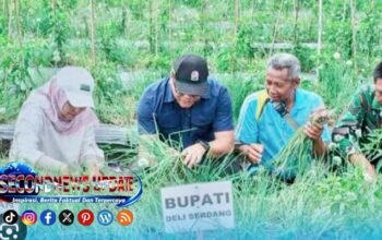 Inflasi Deli Serdang Turun ke 3,80 Persen, Terendah di Kelas Menengah Sumut