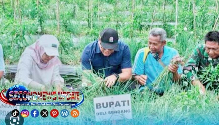 Inflasi Deli Serdang Turun ke 3,80 Persen, Terendah di Kelas Menengah Sumut