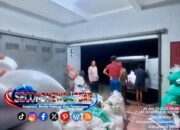 Polsek Sukawening Kawal Serapan 12 Ton Jagung oleh Bulog Garut untuk Dukung Ketahanan Pangan Nasional