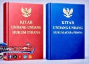Akademisi Nilai Pemberlakuan KUHP dan KUHAP Baru Jadi Tonggak Kemandirian Hukum Nasional