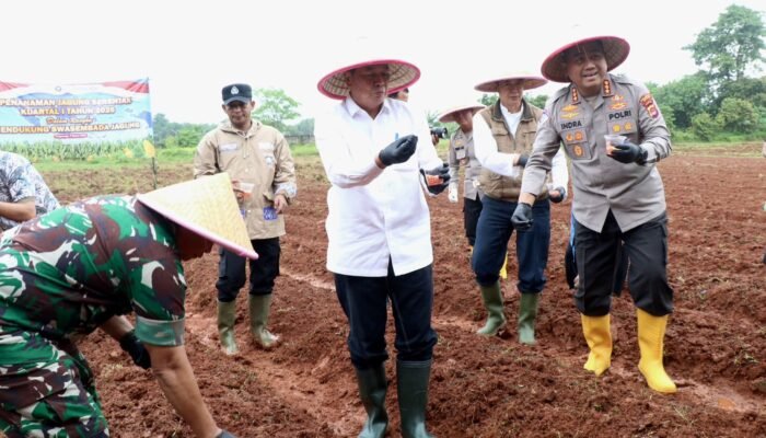 Tanam Raya Jagung Hibrida di Panongan, Bupati Maesyal Rasyid Ajak Semua Pihak Perkuat Ketahanan Pangan Nasional