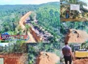 Sawit Ilegal di Lahan Status Quo, Warga 6 Desa Ancam Surati Presiden Prabowo