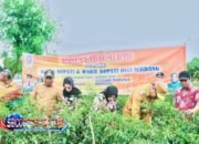 Harga Cabai Anjlok Rp8.000/Kg, Petani Deli Serdang Menjerit, DPW A-PPI Sumut Soroti Kinerja Pemda