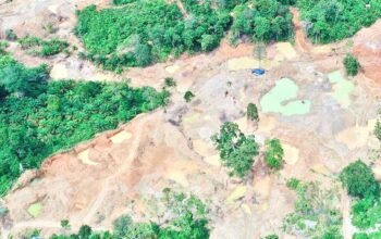 WALHI Sumut Desak Sikat Habis Tambang Ilegal: Jangan Hanya Pekerja, Pemodal Harus Diburu!