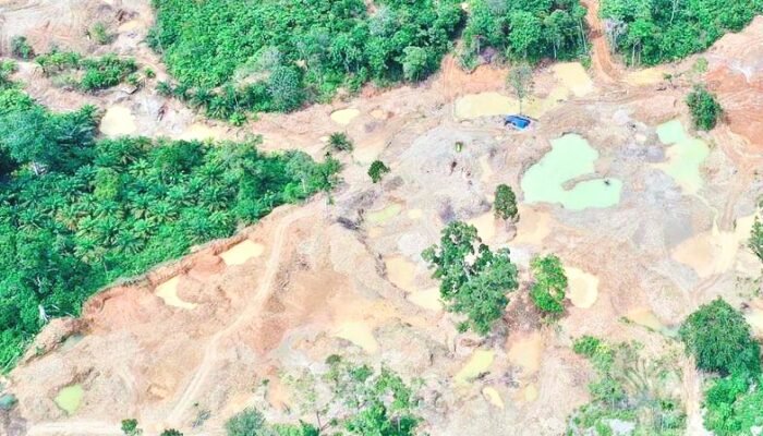 WALHI Sumut Desak Sikat Habis Tambang Ilegal: Jangan Hanya Pekerja, Pemodal Harus Diburu!