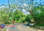 Aksi Cepat Warga Leuwigoong! Tebang Pohon Nyaris Tumbang di Tikungan, Selamatkan Pengendara dari Bahaya