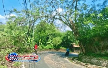 Aksi Cepat Warga Leuwigoong! Tebang Pohon Nyaris Tumbang di Tikungan, Selamatkan Pengendara dari Bahaya
