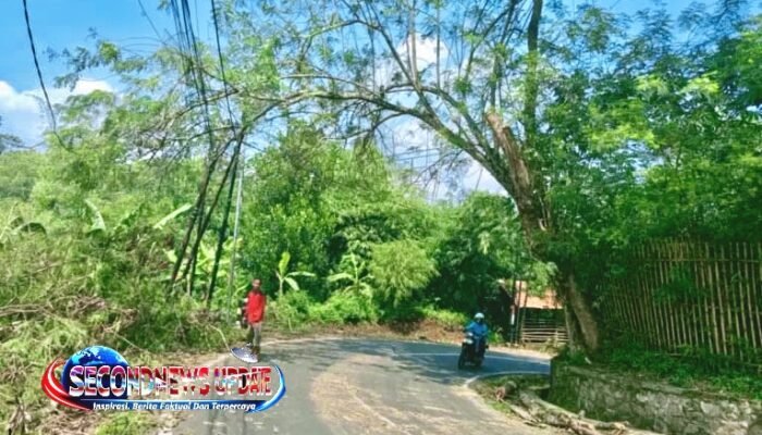 Aksi Cepat Warga Leuwigoong! Tebang Pohon Nyaris Tumbang di Tikungan, Selamatkan Pengendara dari Bahaya