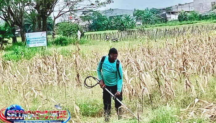 Keren! Petani Binaan CSR PIK 2 di Tangerang Genjot Tanam Jagung dan Sayuran, Panen Diatur Berkelanjutan