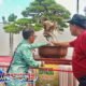548 Bonsai Pamer di Asia Plaza, Ketum PPBI: Tasikmalaya Setara Cabang Besar