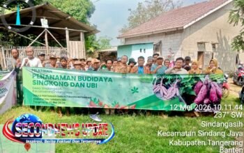 Petani Tangerang Dibekali Pelatihan Budidaya Singkong dan Ubi Jalar, Dorong Ketahanan Pangan hingga Peluang Usaha