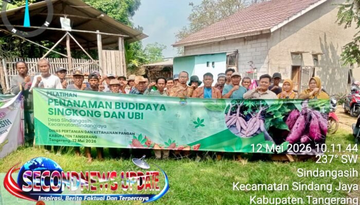 Petani Tangerang Dibekali Pelatihan Budidaya Singkong dan Ubi Jalar, Dorong Ketahanan Pangan hingga Peluang Usaha
