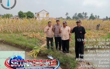 DPK Tani Merdeka Sepatan Survei Lahan Binwil 2026 di Desa Kayu Bongkok, Siapkan Program Ketahanan Pangan