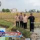 DPK Tani Merdeka Sepatan Survei Lahan Binwil 2026 di Desa Kayu Bongkok, Siapkan Program Ketahanan Pangan