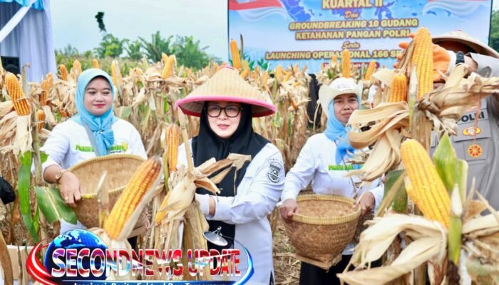 Wabup Intan Hadiri Panen Jagung Serentak Kuartal II Bersama Polres Metro Tangsel