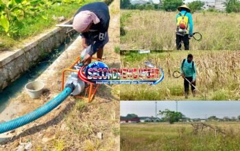 Jeritan Petani Penggarap di Puskagro Tangerang, Keluhkan Lahan Terbengkalai dan Minim Dukungan Perusahaan