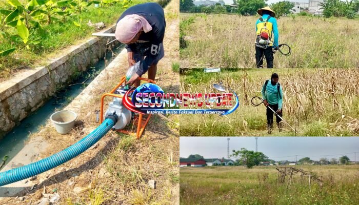 Jeritan Petani Penggarap di Puskagro Tangerang, Keluhkan Lahan Terbengkalai dan Minim Dukungan Perusahaan