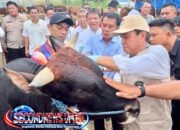 Jelang Idul Adha 1447 H, Bupati Maesyal Sidak Lapak Kurban: 334 Titik Penjualan di Tangerang Dipastikan Aman