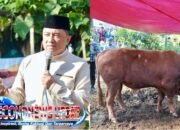 Warga Cigedug Garut Terima Bantuan Sapi Kurban Presiden RI, Bobotnya Tembus 1 Ton