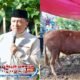 Warga Cigedug Garut Terima Bantuan Sapi Kurban Presiden RI, Bobotnya Tembus 1 Ton