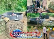 Arena Sabung Ayam di Cibatu Digerebek Polisi, Delapan Ayam Aduan dan Motor Diamankan