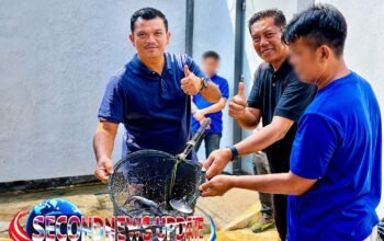 Manfaatkan Area Brandgang, Lapas Majalengka Sukses Panen 36 Kg Lele dan 65 Butir Telur Puyuh