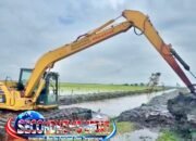 DBMSDA Melalui UPTD SDA Wilayah 5 Lakukan Normalisasi Saluran Pembuang Citanjakan dan Ciketapang di Mauk