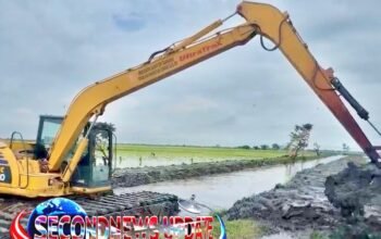 DBMSDA Melalui UPTD SDA Wilayah 5 Lakukan Normalisasi Saluran Pembuang Citanjakan dan Ciketapang di Mauk