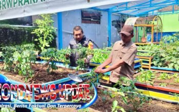 Bhabinkamtibmas Polrestabes Bandung Perkuat Ketahanan Pangan, Buruan Sae Jadi Solusi Kemandirian Warga