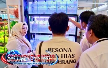 Wabup Intan Dorong Kolaborasi Besar, Sektor Perikanan dan Peternakan Tangerang Siap Tembus Pasar Global