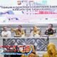 Bupati Tangerang Perkuat Program MBG Lewat Digitalisasi Terintegrasi