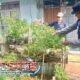 Bhabinkamtibmas Pasir Biru Lakukan Monitoring Program Ketahanan Pangan di Buruan Sae