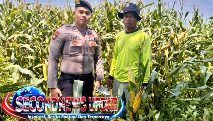 Polrestabes Bandung Tancap Gas Wujudkan Swasembada Pangan, 30 Hektare Lahan Jagung Berhasil Ditanami
