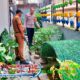 Polri Perkuat Ketahanan Pangan dari Tingkat Kelurahan, Bhabinkamtibmas Mekarwangi Pimpin Pengembangan Jagung dan Hidroponik