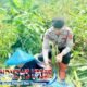 Panen Perdana Jagung Polrestabes Bandung Tembus 4 Ton, Bukti Nyata Polri Dukung Swasembada Pangan Nasional